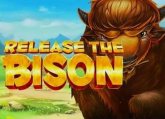 bison release slot
